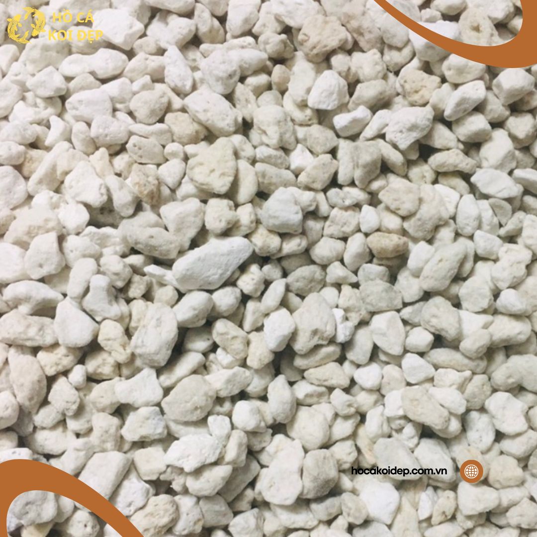 1 25 đá lông vũ về số lượng lớn giá tốt khách hàngĐá lông vũ số lượng lớn, lựa chọn hàng đầu cho hồ Koi chuyên nghiệp