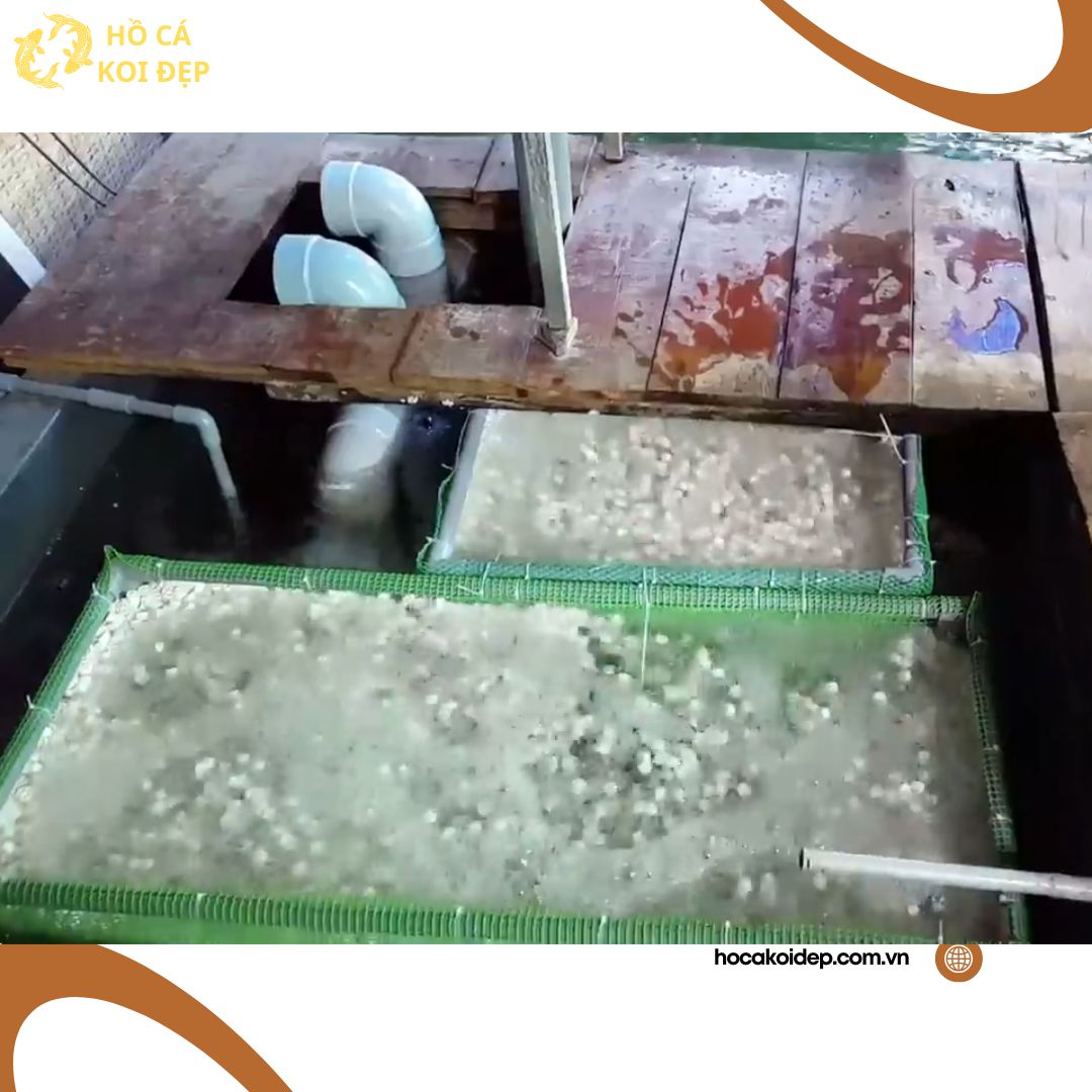 1 26 Với thiết kế đơn giản này, bạn có thể dễ dàng lắp đặt và vệ sinh bộ lọc Kaldnes, đồng thời tiết kiệm chi phí.
