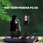 Máy bơm tạt hồ cá Koi Periha PG 60, giải pháp tối ưu cho hồ cá Koi.