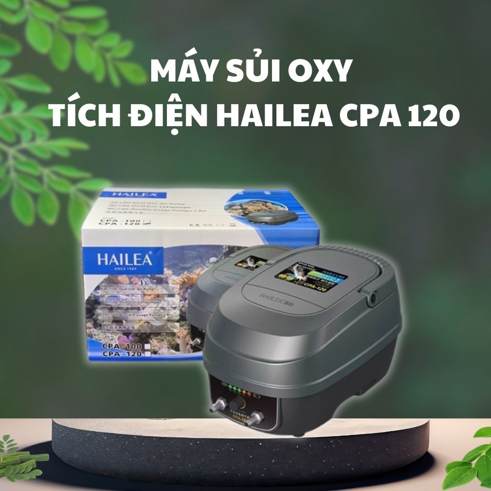 1 30 Máy sủi khí Hailea CPA 120 với thiết kế đẹp
