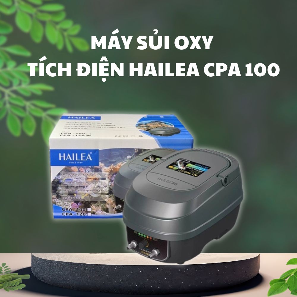 Máy sủi khí Hailea CPA 100 thiết kế đẹp, dễ sử dụng