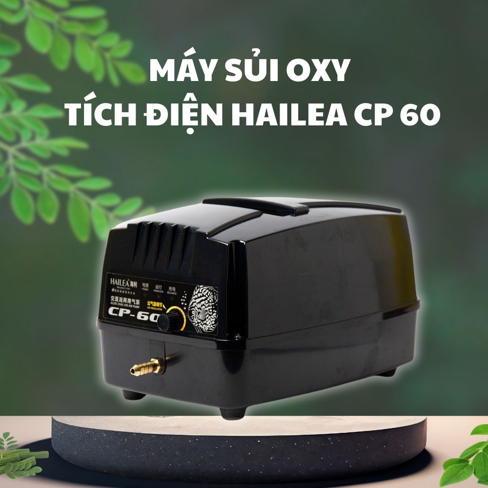 Máy sủi khí Hailea CP-60 thiết kế nhỏ gọn, dễ dàng lắp đặt