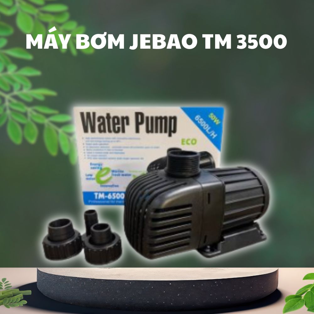 5 9 Ứng dụng máy bơm Jebao TM trong hồ cá Koi