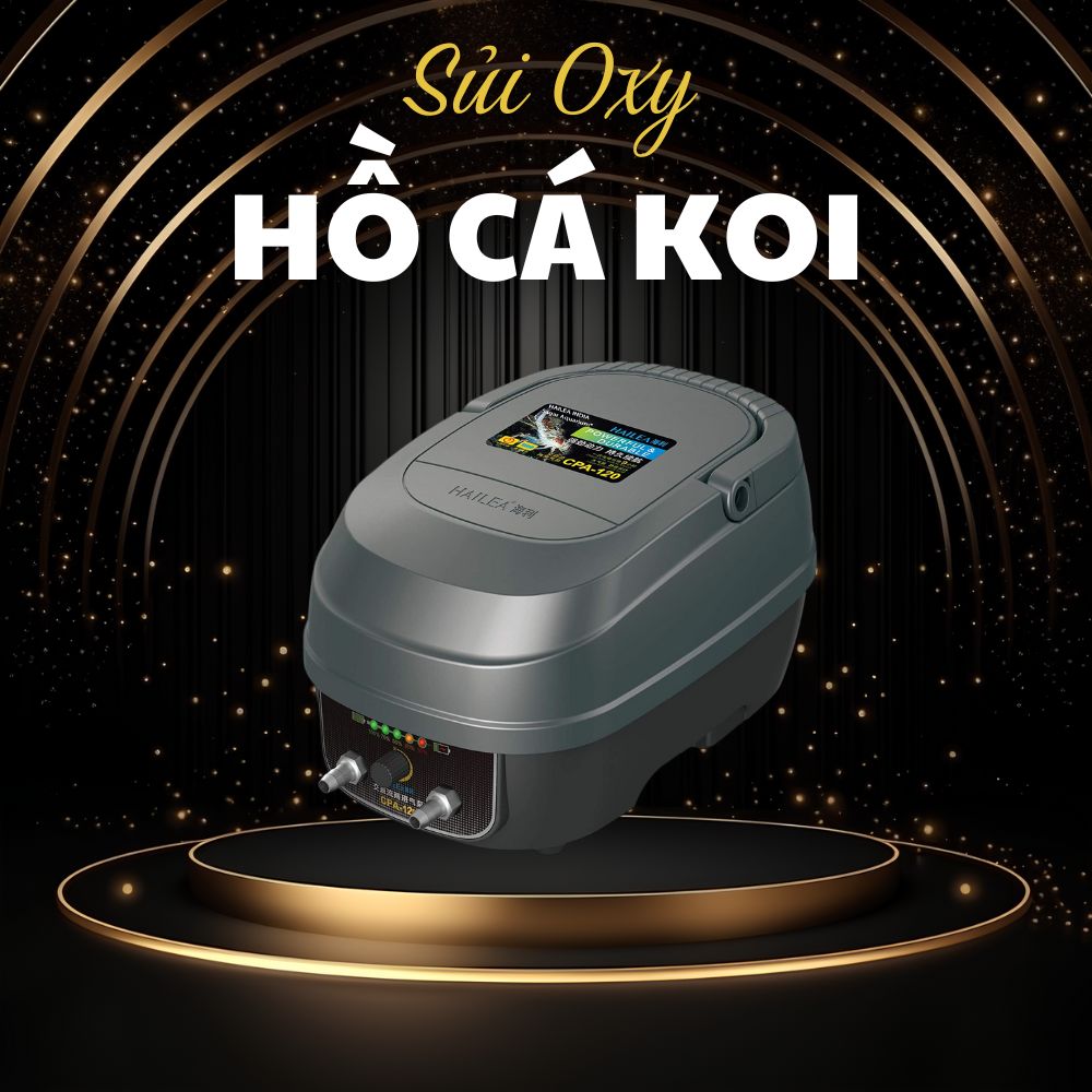 Máy Sủi Oxy Hồ Cá Koi