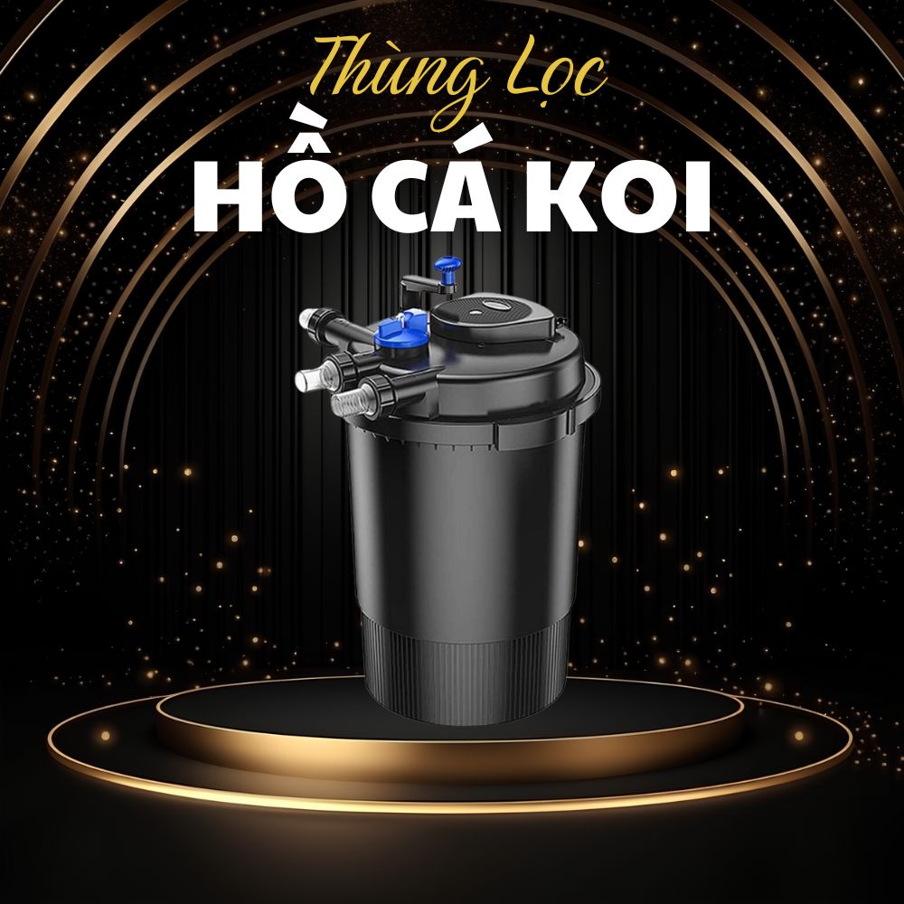 Thùng Lọc Hồ Cá Koi