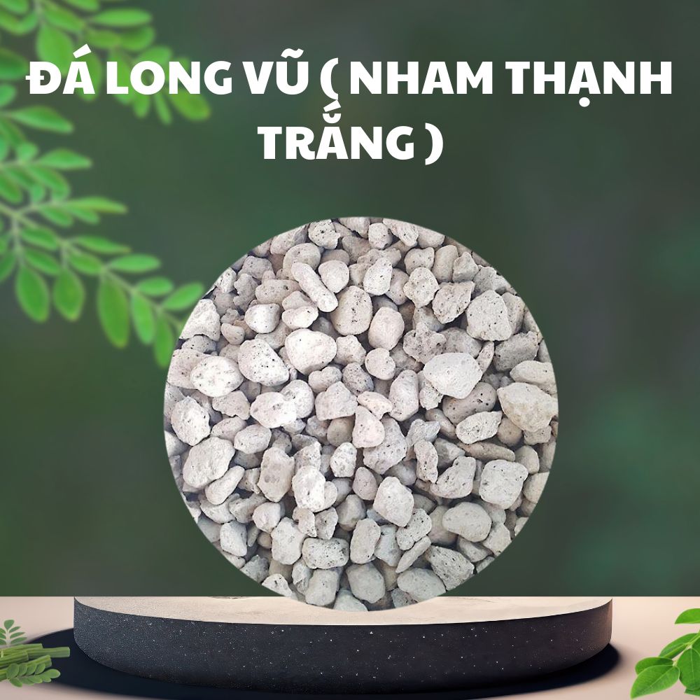 Da long vu nham thanh trang Đá long vũ ( nham thạnh trắng )