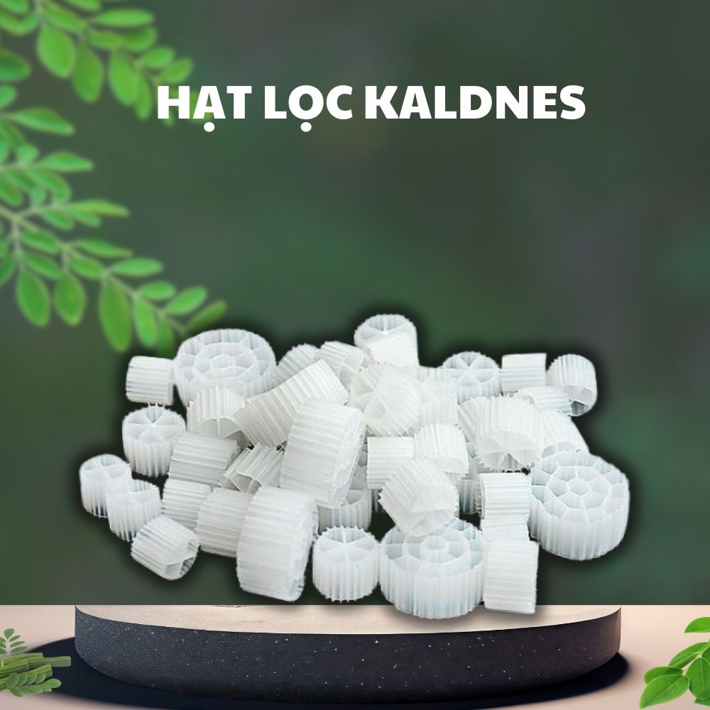 hat loc kaldnes hạt lọc kaldnes