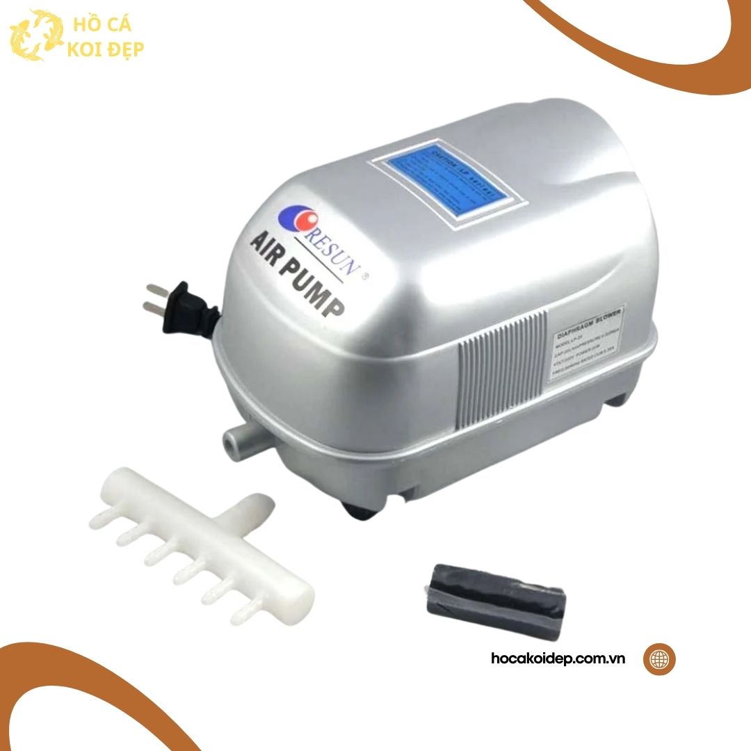 sui resun lp 40 60 4 Máy sủi oxy resun lp 40 và phụ kiện
