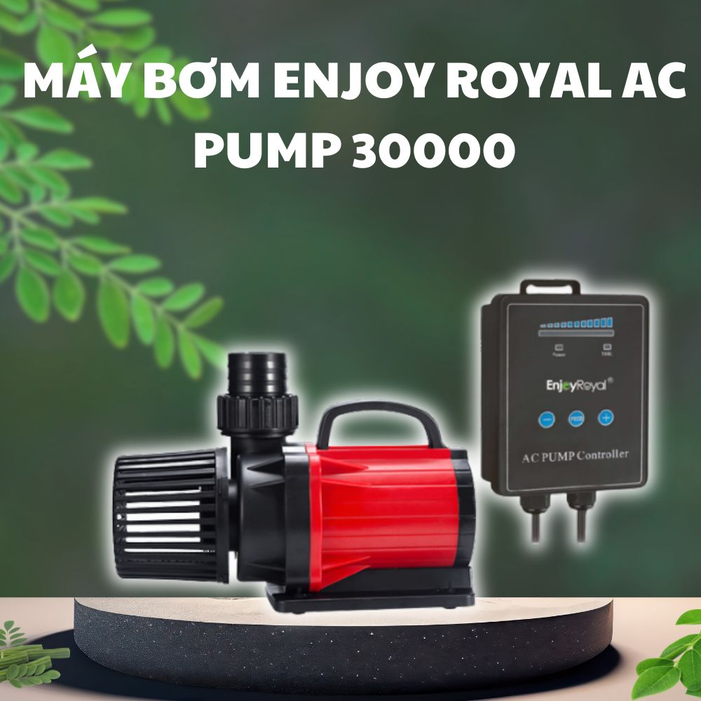 2 1 Máy bơm AC Pump 30000 với thiết kế hiện đại, nhỏ gọn