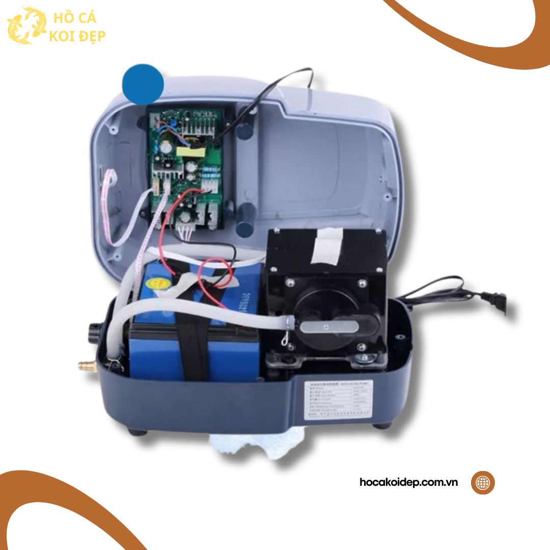 2 10 Cấu tạo bên trong máy sủi oxy acd