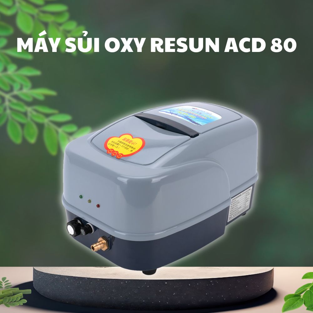 2 9 Máy sủi oxy tích điện Resun ACD 80 cho hồ cá Koi