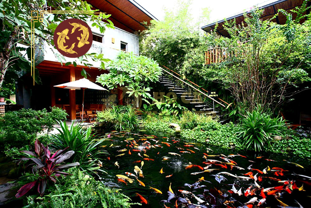 thumd content quan cafe ca koi 1 3121