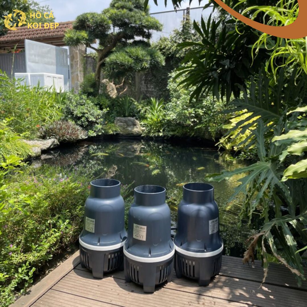 Cac dong may bom Baoyu GP Các dòng máy bơm Baoyu GP