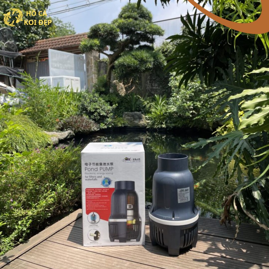 May bom baoyu GP Máy bơm baoyu GP