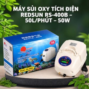 Máy sủi RS-400B