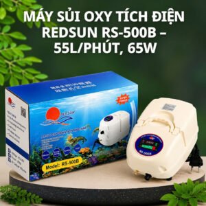 Máy sủi RS-500B