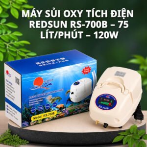 Máy sủi RS-700B