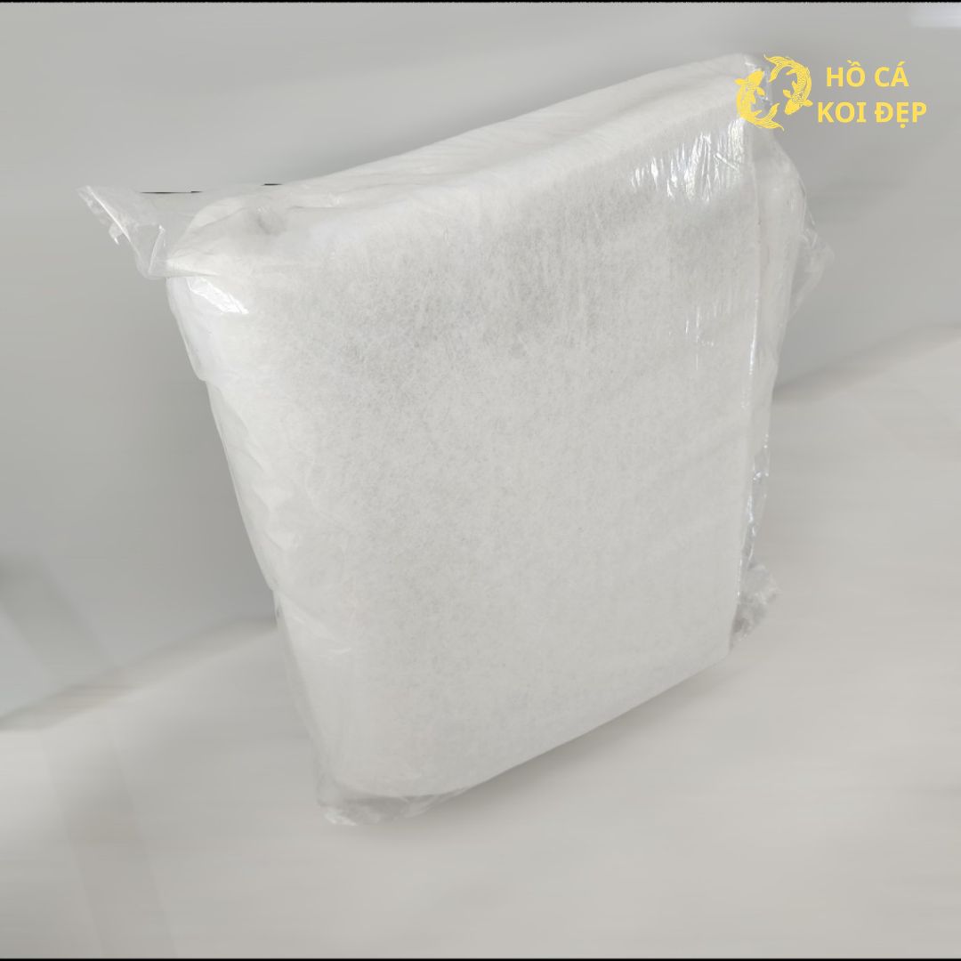 Có đầy đủ tại Hồ Cá Koi Đẹp