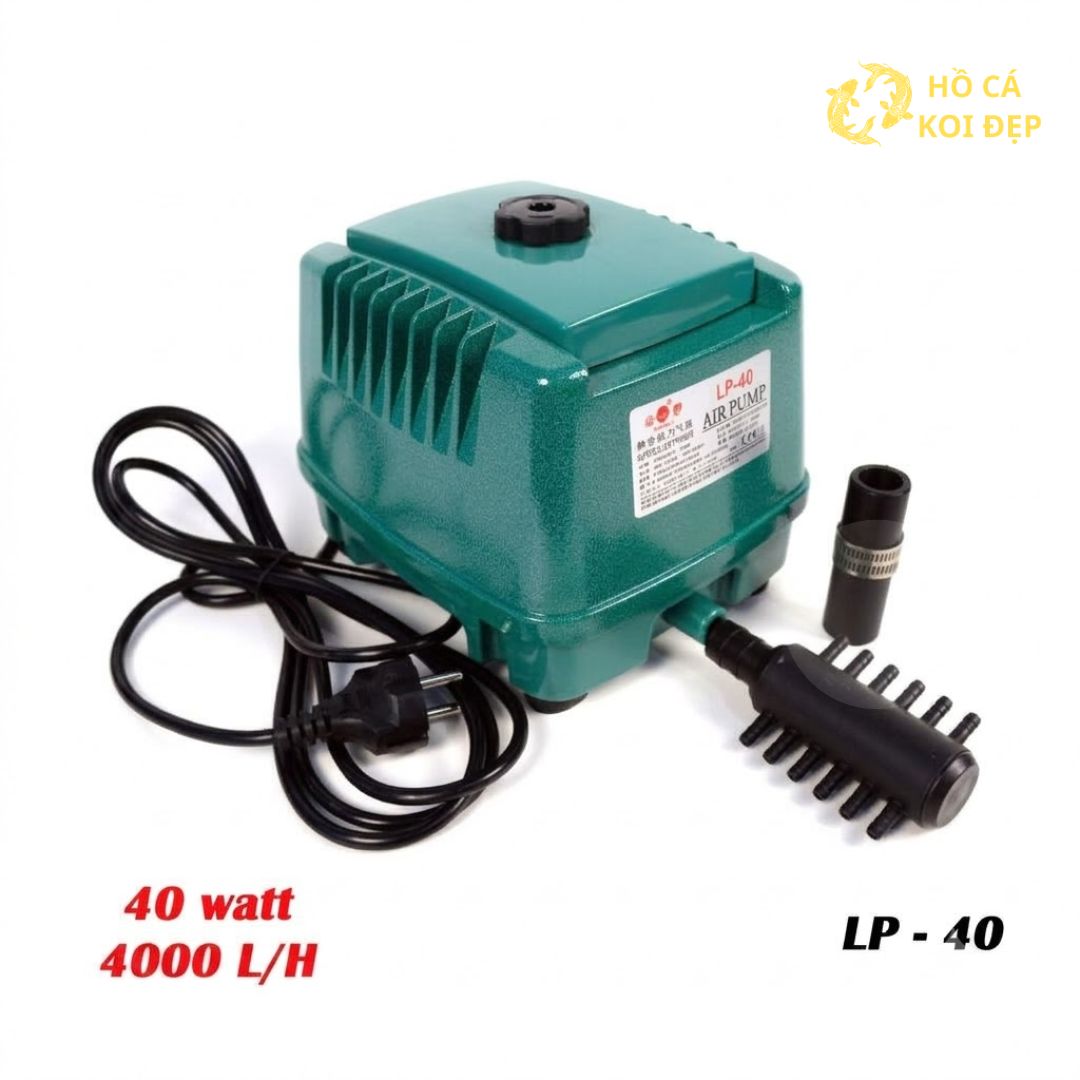 Đa dạng công suất từ 10-50W