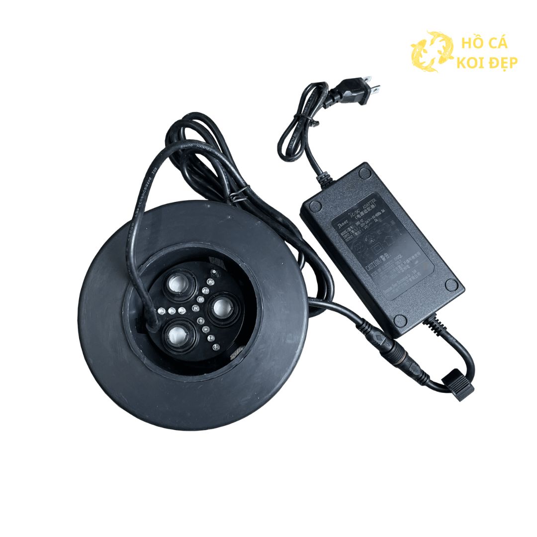 Đặt mua ngay tại Hồ Cá Koi Đẹp