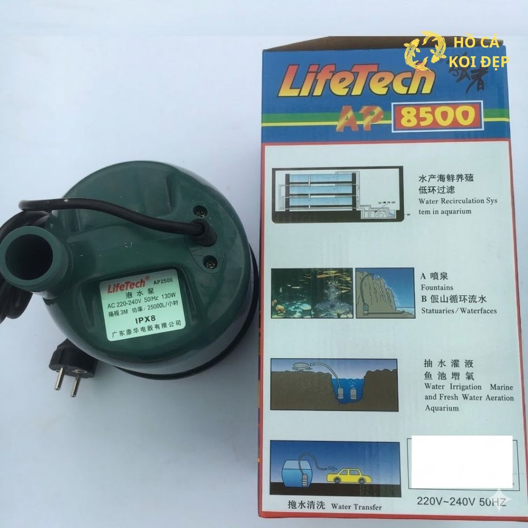 Lua chon ngay tai Ho Ca Koi Dep 1 Lựa chọn ngay tại Hồ Cá Koi Đẹp