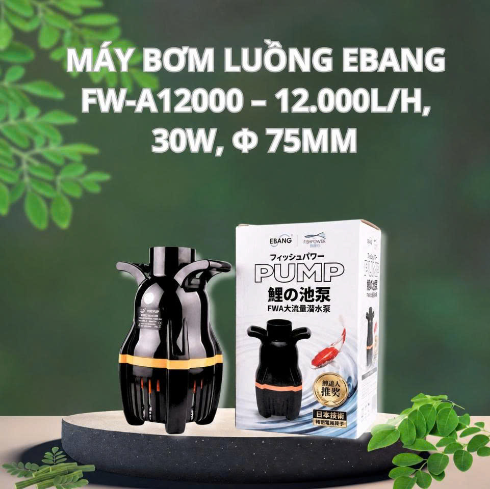 Máy Bơm Luồng Ebang FW-A12000