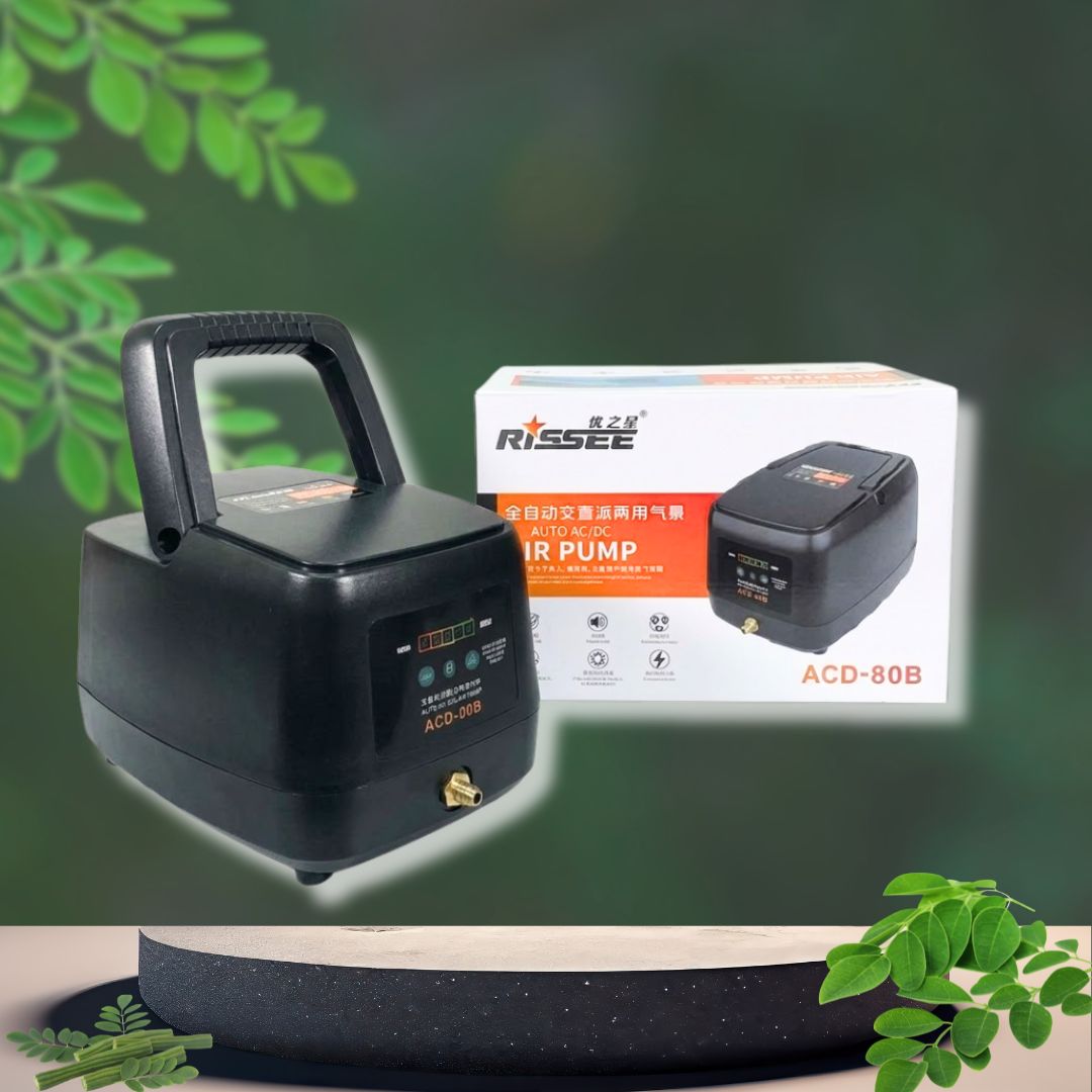 May Suc Khi Tich Dien Rissee ACD 80B Máy Sục Khí Tích Điện Rissee ACD-80B