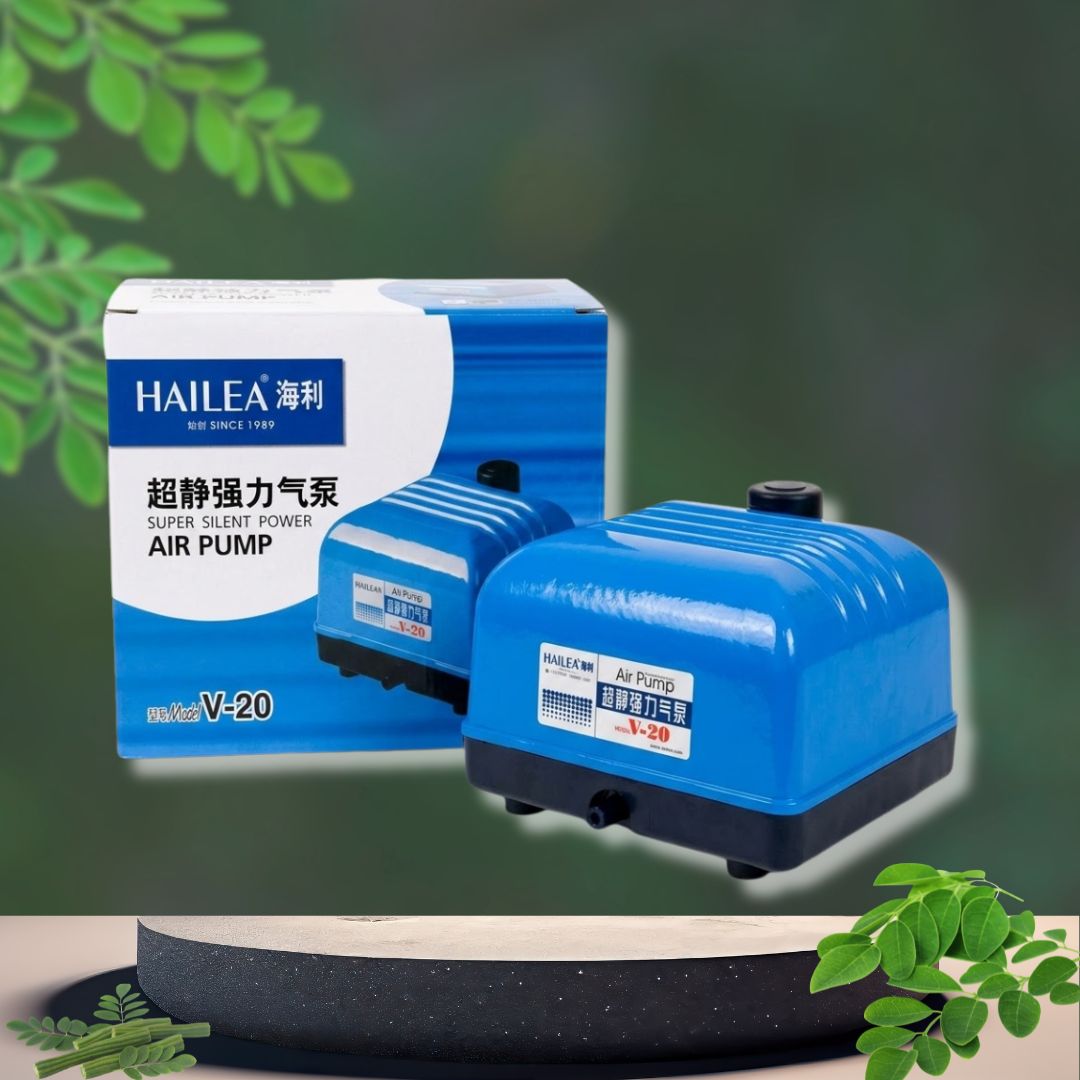Máy Sủi Oxy Hailea V-60
