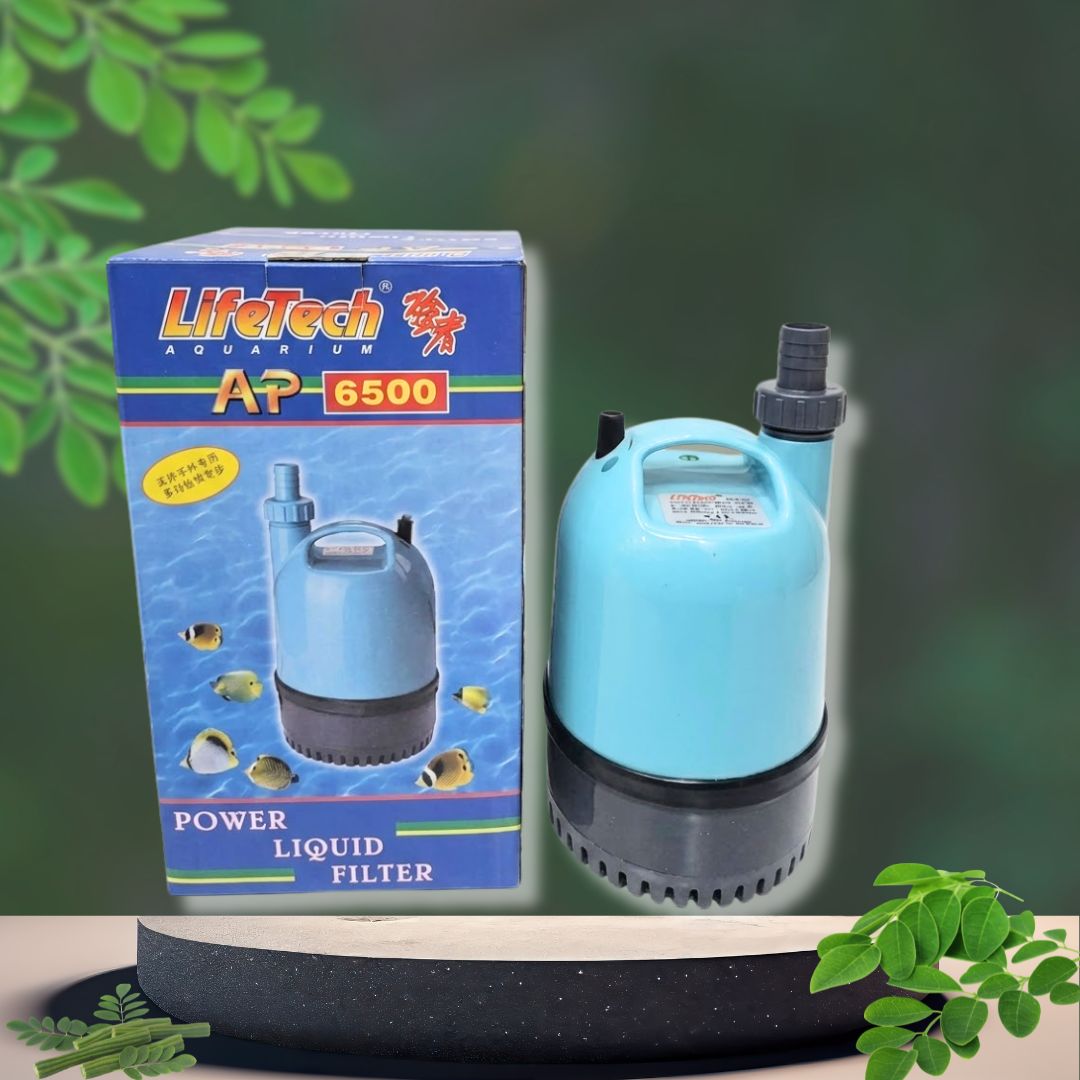 Máy bơm nước Lifetech AP-6500