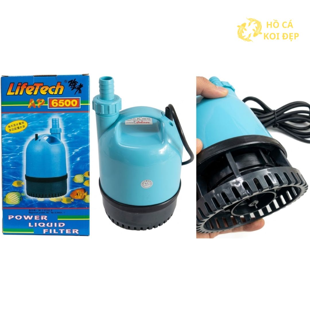 Model 6500 phu hop cho cac ho vua va nho Model 6500 phù hợp cho các hồ vừa và nhỏ