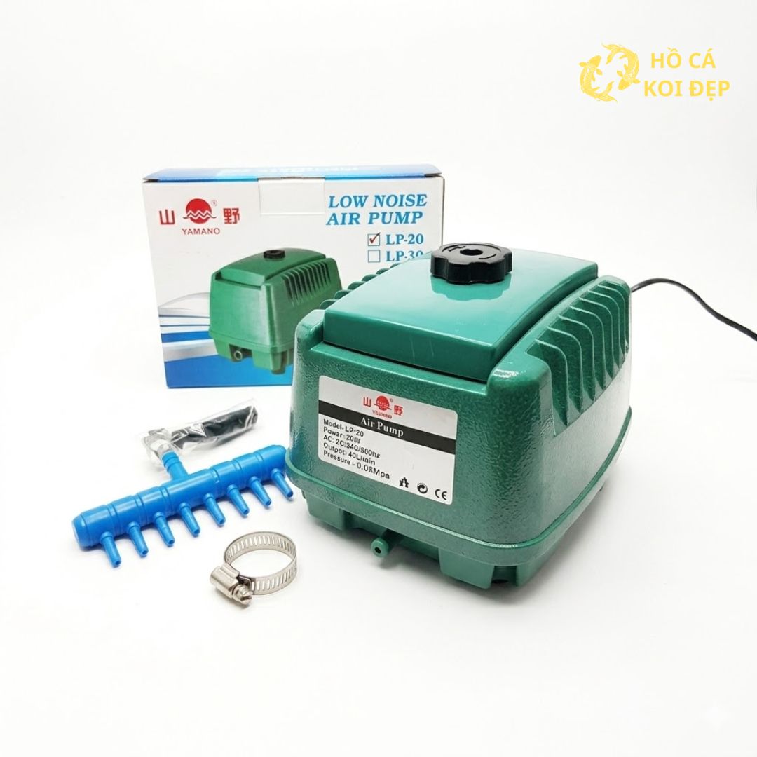 Mua ngay tại Hồ Cá Koi Đẹp