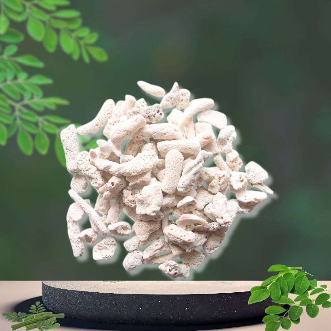 San hô vụn bao 35kg