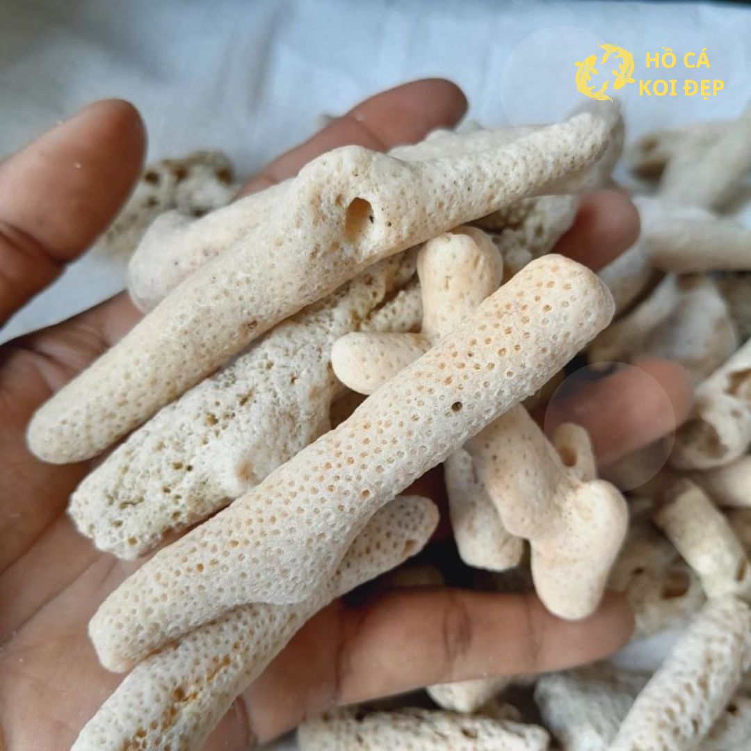 Tăng độ cứng và hỗ trợ độ ổn định pH trong nước