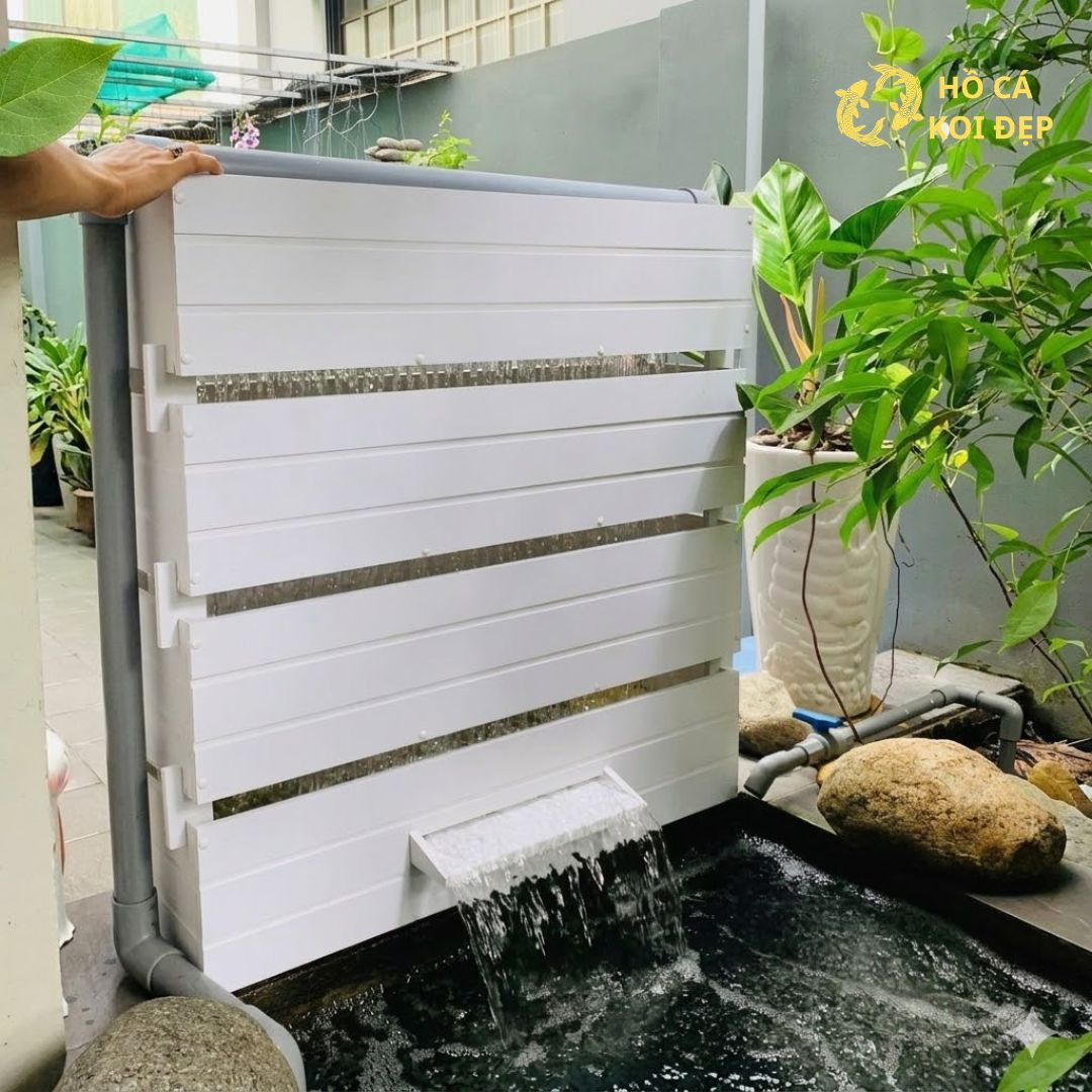 Tất cả có tại Hồ Cá Koi Đẹp
