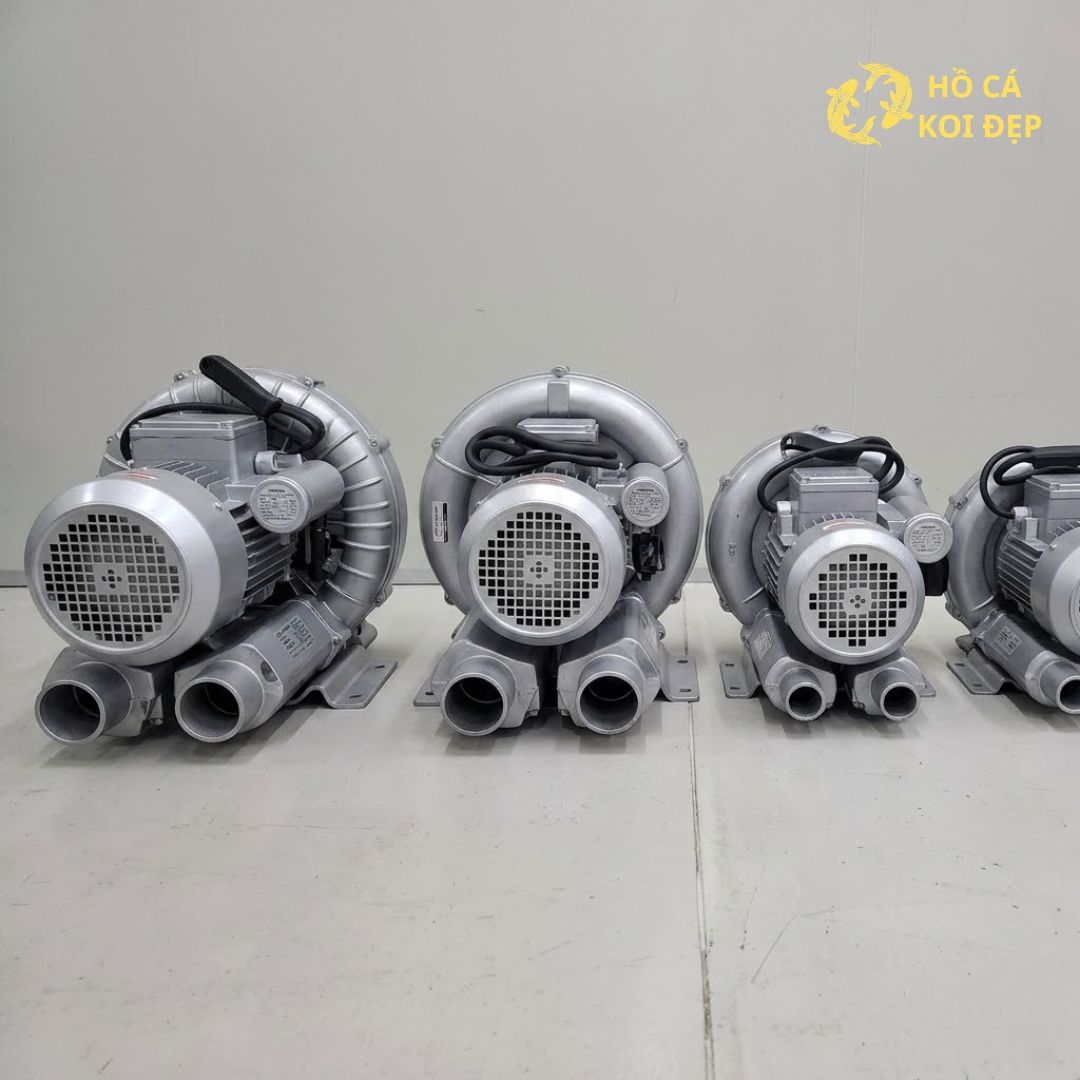 Với nhiều mức công suất và lưu lượng, máy phù hợp cho nhiều dạng hồ khác nhau