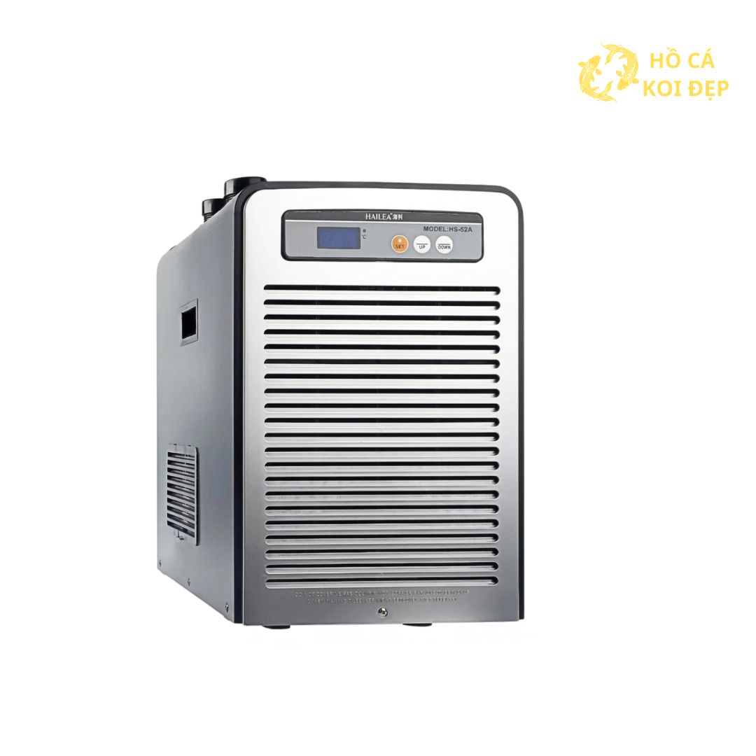 Xem ngay tại Hồ Cá Koi Đẹp
