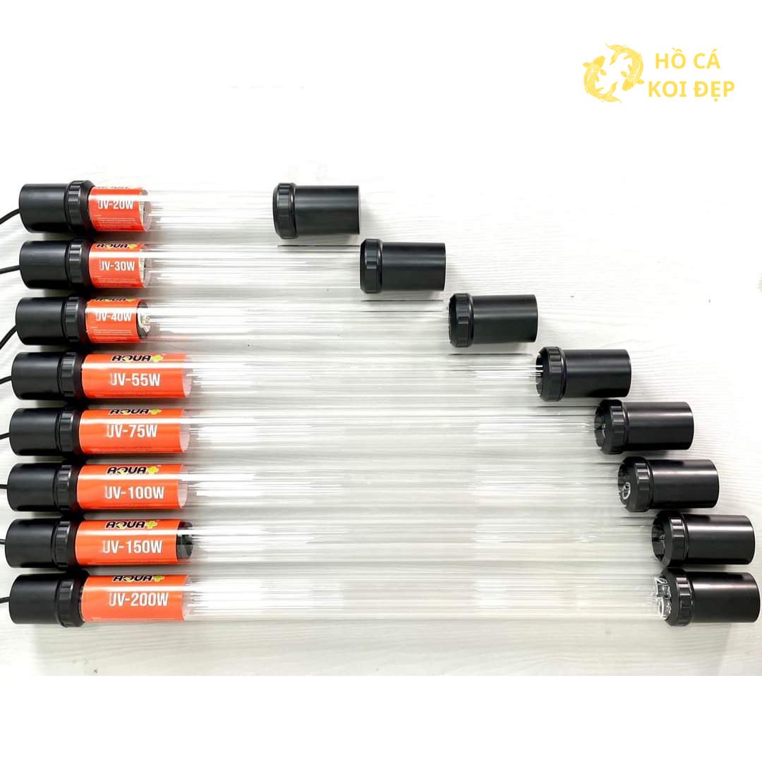 Xem tại Hồ Cá Koi Đẹp