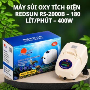 Máy sủi RS-2000B