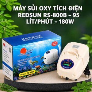 Máy sủi RS-800B