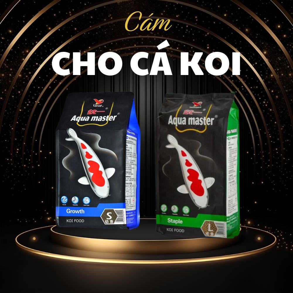 Cám Cá Koi
