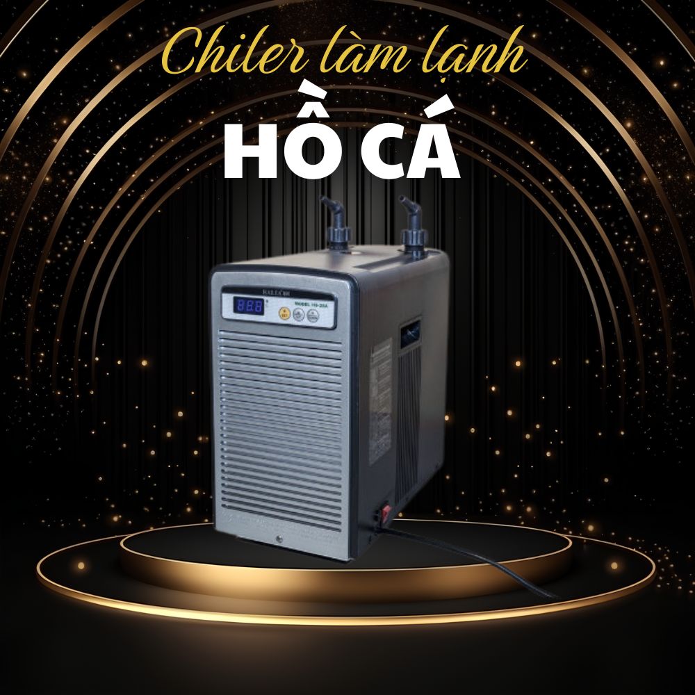 Chiller Làm Lạnh Nước Hồ Cá