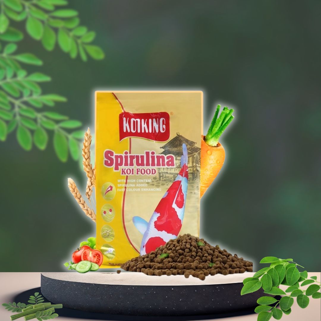 Cám Cá Koi KoiKing Spirulina 5Kg 7 Cám Cá Koi KoiKing Spirulina 5Kg