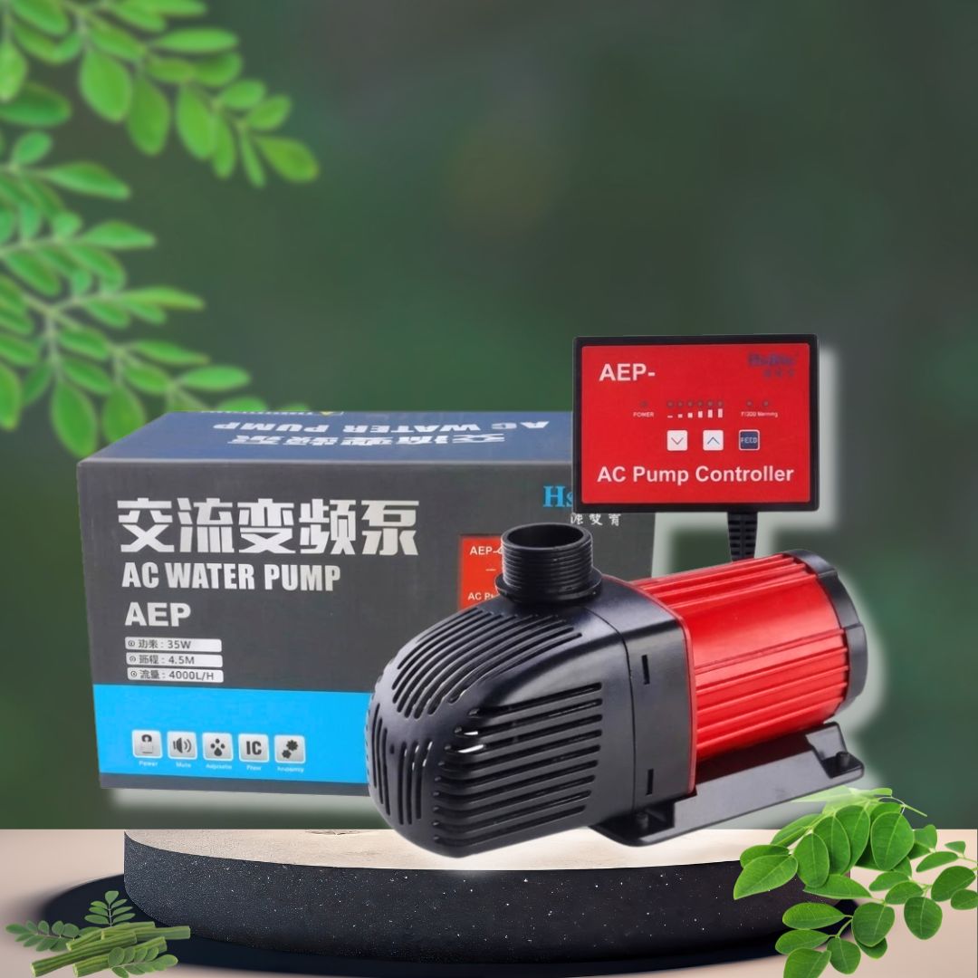 Máy Bơm HSBAO AEP-6000