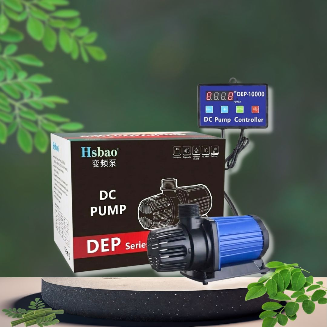 Bơm Chống Giật HSBAO DEP-6000