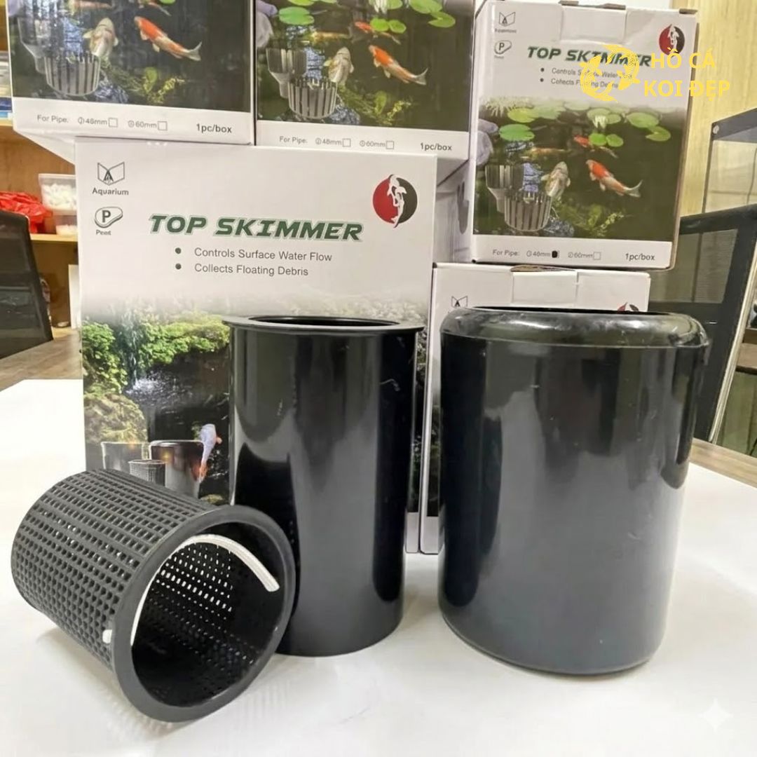 Mua sớm nhất tại Hồ Cá Koi Đẹp