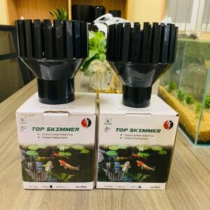 Xem thêm tại Hồ Cá Koi Đẹp