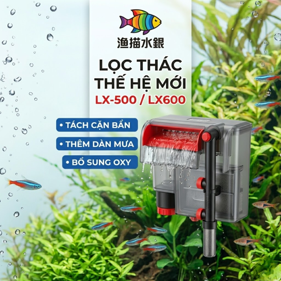 Xem thêm tại Hồ Cá Koi Đẹp