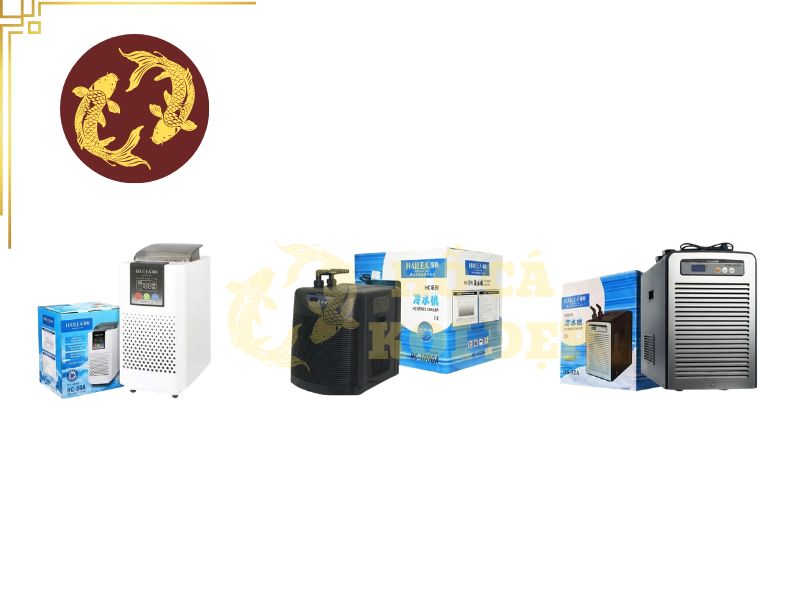 Máy Làm Lạnh Nước Chiller Hailea HS-28A – 1/10 HP; 250–1200L/h 1 Chiller làm lạnh nước hồ cá duy trì nhiệt độ nước ổn định
