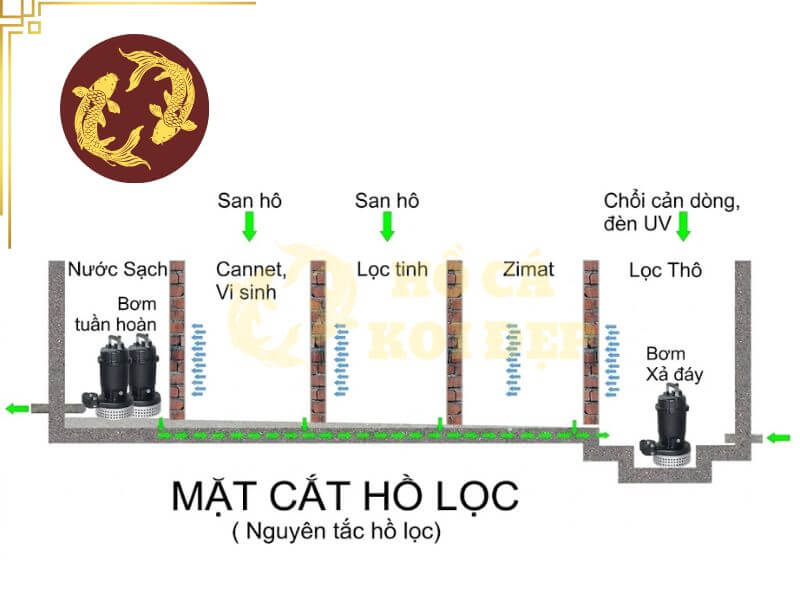 Hệ thống lọc hồ cá Koi từ A-Z: Nguyên lý, thiết kế và vận hành chuẩn 100 điểm 4 Mặt cắt tham khảo hệ thống lọc hồ koi