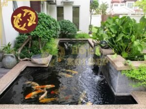 Xây dựng hệ thống lọc hồ cá koi hiệu quả